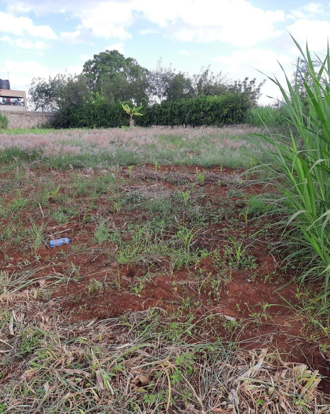 0.17 Acre Garden Plot with Parking - Thika