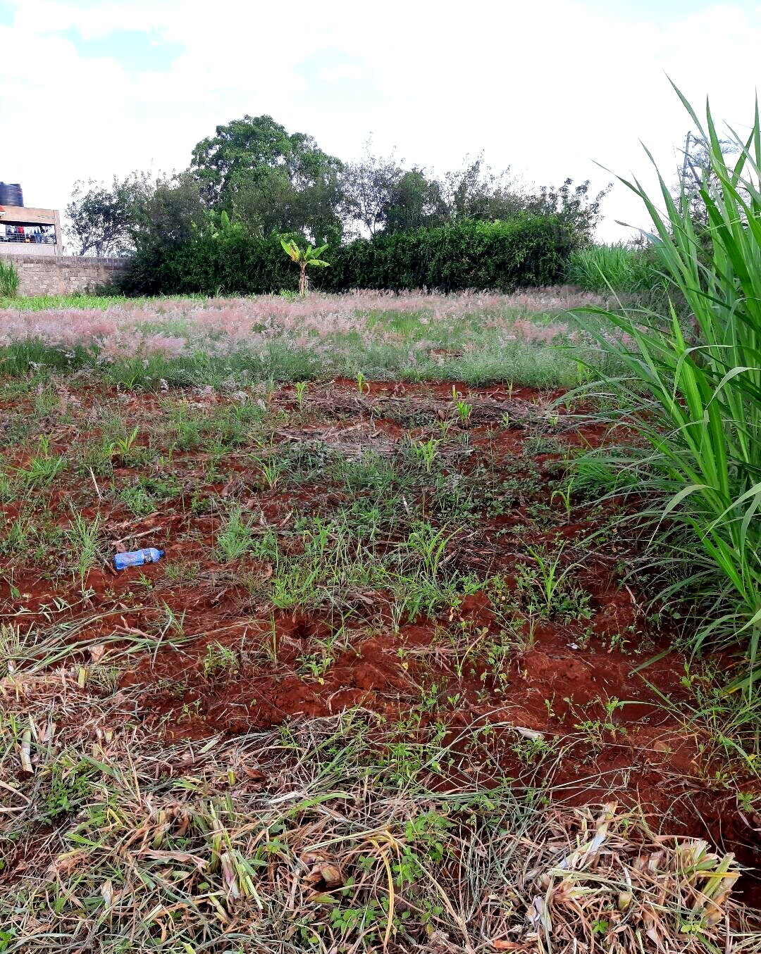 0.17 Acre Garden Plot with Parking - Thika