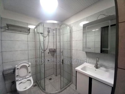 1bdrm Bedsitter in Kileleshwa for rent - Image 5