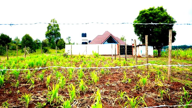 Prime Residential Plot for Sale in Kikuyu, Lusigetti