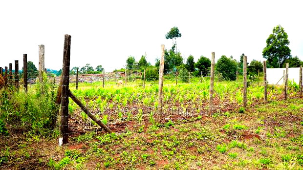 Prime Residential Plot for Sale in Kikuyu, Lusigetti