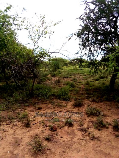 20 Acre Nguyan - Image 6