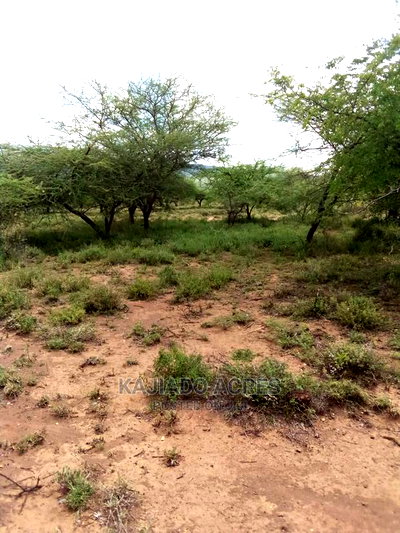 20 Acre Nguyan - Image 3