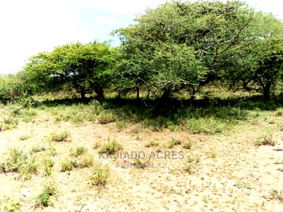 20 Acre Nguyan - Image 1