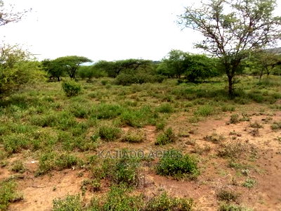 20 Acre Nguyan - Image 5