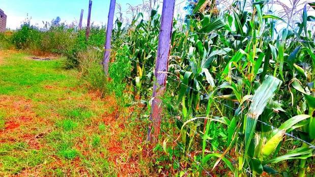 Plots for Sale in Kikuyu Kanduma Area