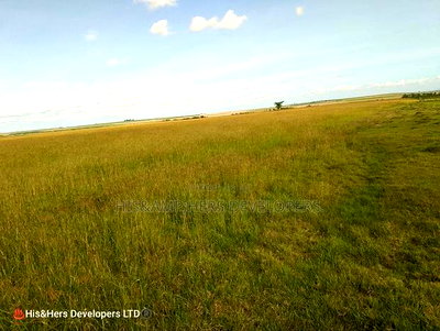 120 Acres in Mulot Tipis With Title Deed. - Image 2