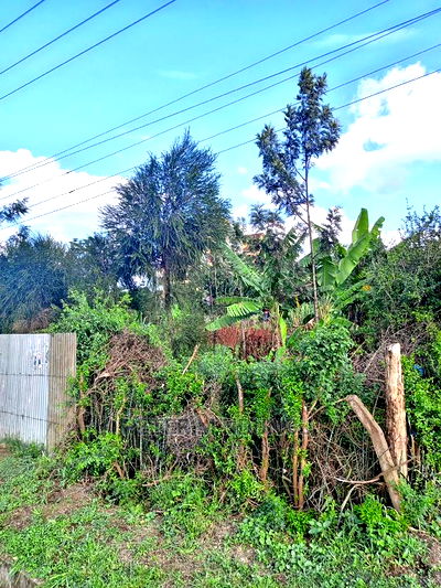 Leasing One Acre Touching Thika Superhighway - Image 3