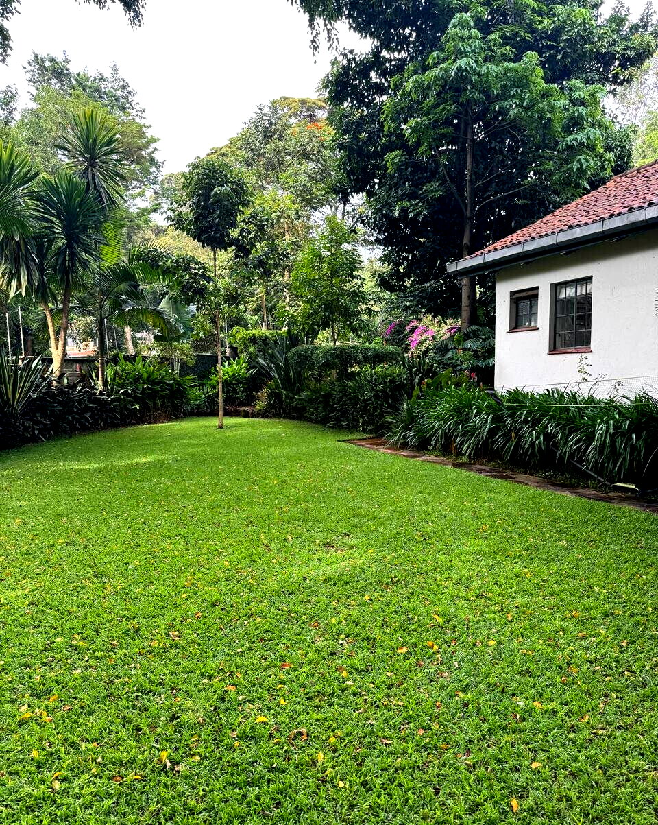 0.9 Acre Lavington Plot with Garden