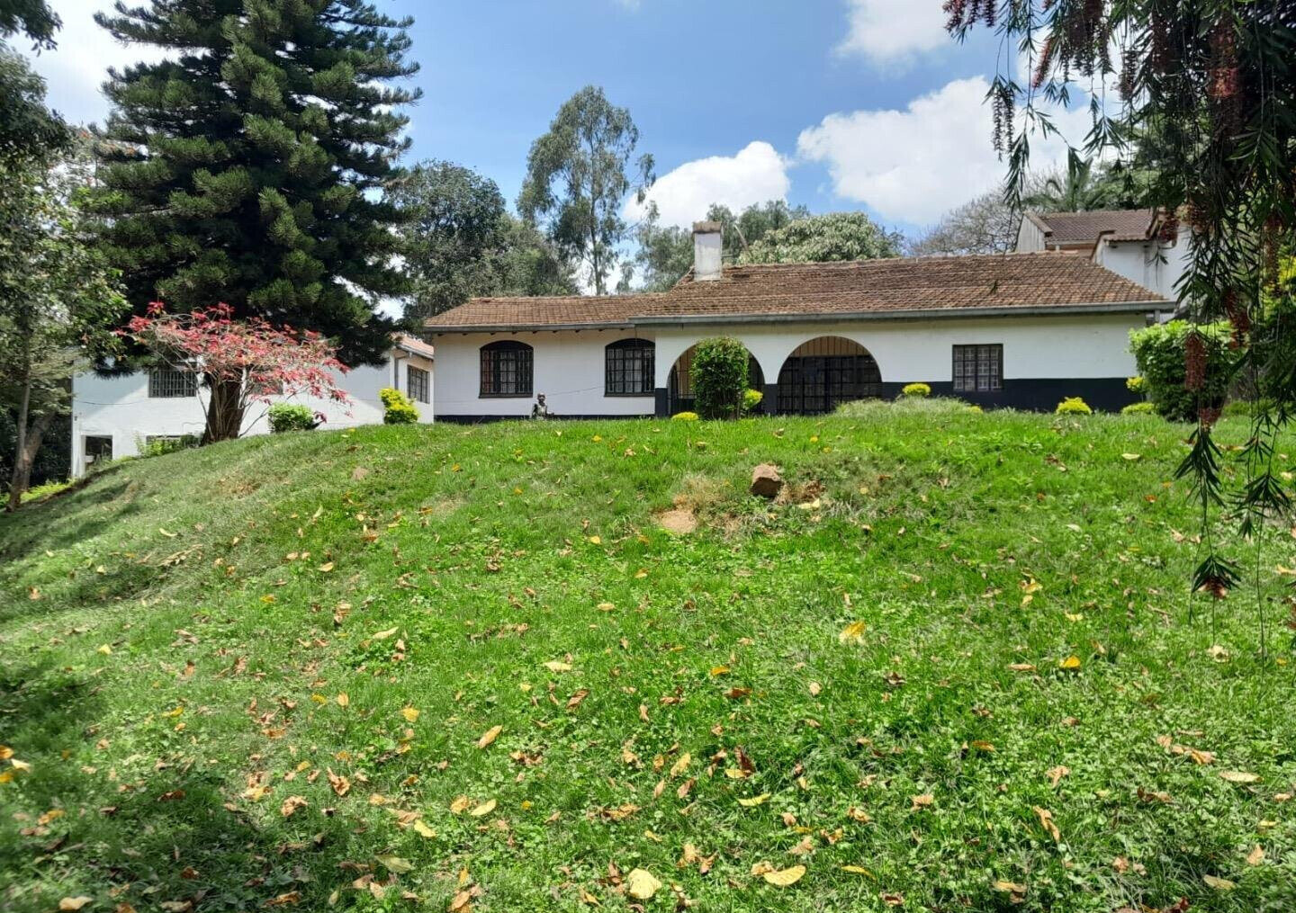 3/4 Acre Garden Plot with Parking
