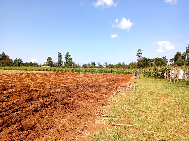10 Acres Naiberi With Title Around 1.5km From Tarmac