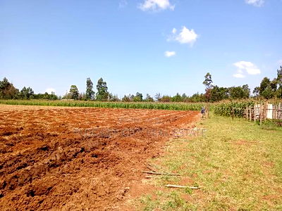 10 Acres Naiberi With Title Around 1.5km From Tarmac - Image 1