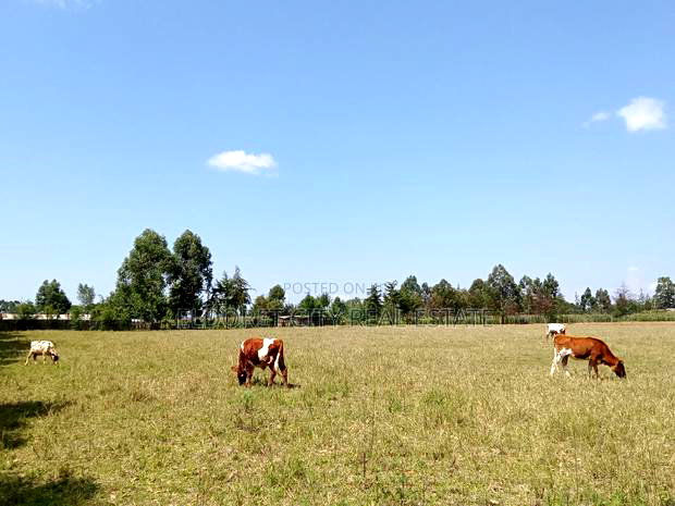10 Acres Naiberi With Title Around 1.5km From Tarmac