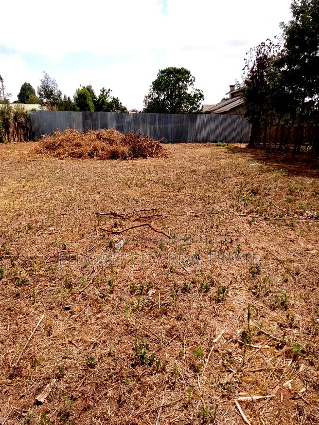 1/4 Plot Kimumu Junction