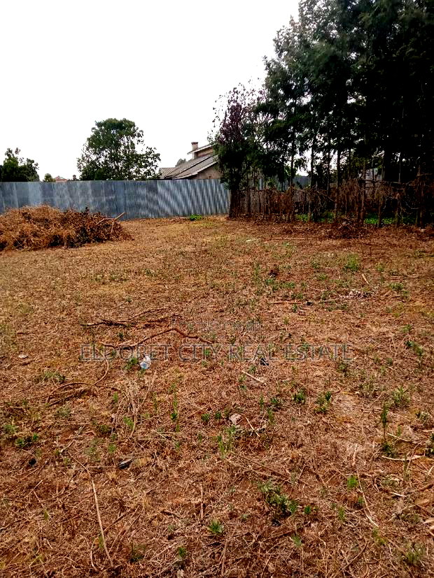 1/4 Plot Kimumu Junction