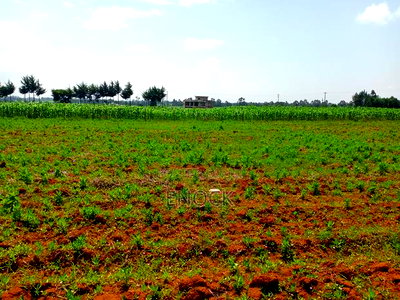 Prime Plots in Chemaluk Marura - Image 1