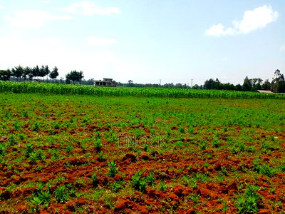 Prime Plots in Chemaluk Marura - Image 2