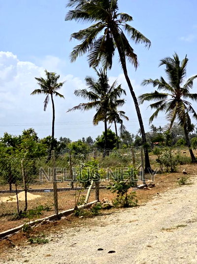 Plots Touching Highway Kilifi Mtondia for Sale - Image 4
