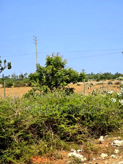 Plots Touching Highway Kilifi Mtondia for Sale - Image 3