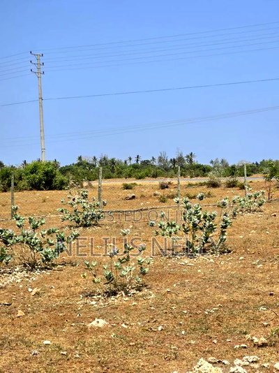 Plots Touching Highway Kilifi Mtondia for Sale - Image 5