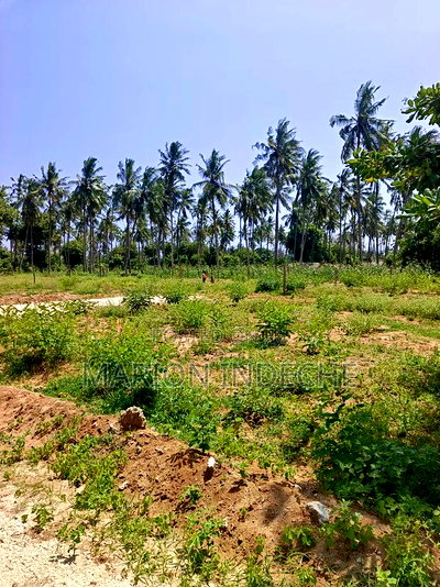 50*100ft Plots for Sale in Kilifi Tezo - Image 4