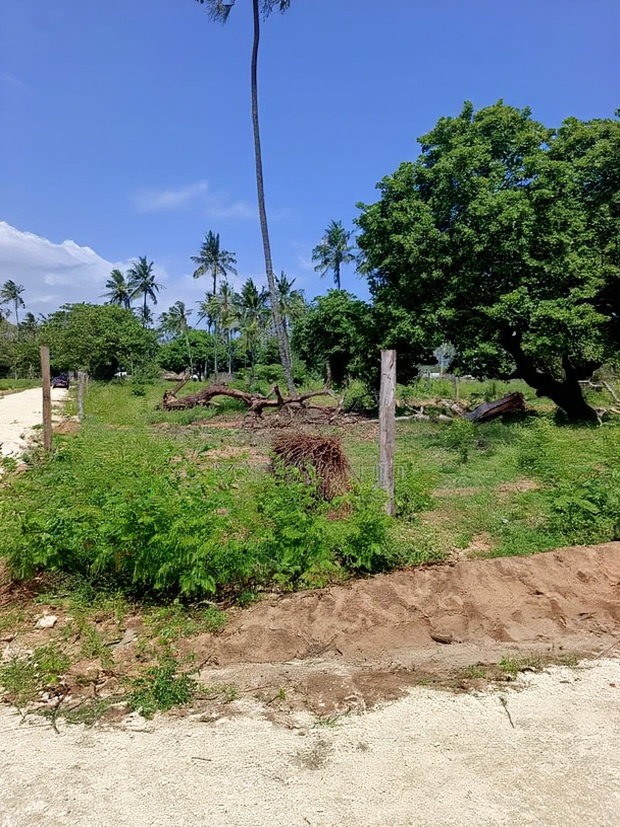 50*100ft Plots for Sale in Kilifi Tezo