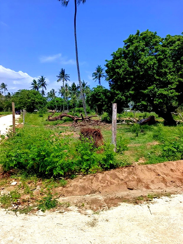 50*100ft Plots for Sale in Kilifi Tezo
