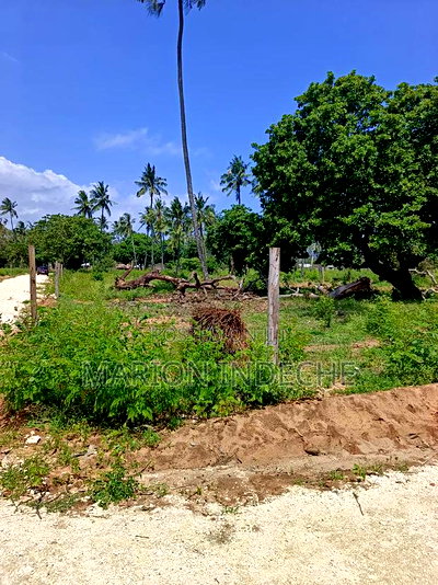 50*100ft Plots for Sale in Kilifi Tezo - Image 1