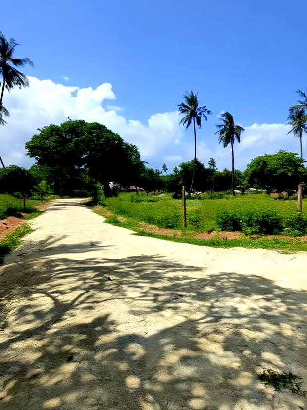 50*100ft Plots for Sale in Kilifi Tezo
