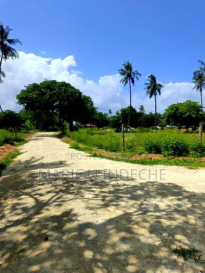 50*100ft Plots for Sale in Kilifi Tezo - Image 3