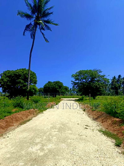 50*100ft Plots for Sale in Kilifi Tezo - Image 6