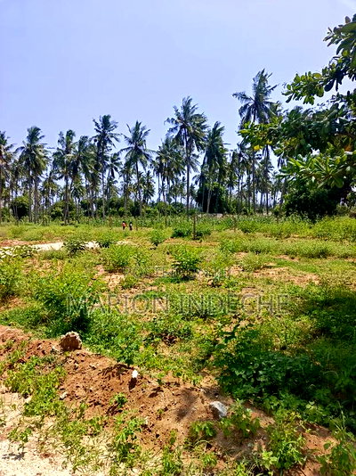 50*100ft Plots for Sale in Kilifi Tezo - Image 5