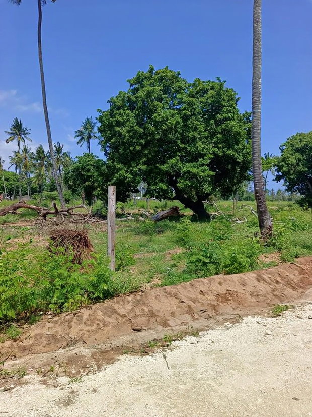 50*100ft Plots for Sale in Kilifi Tezo