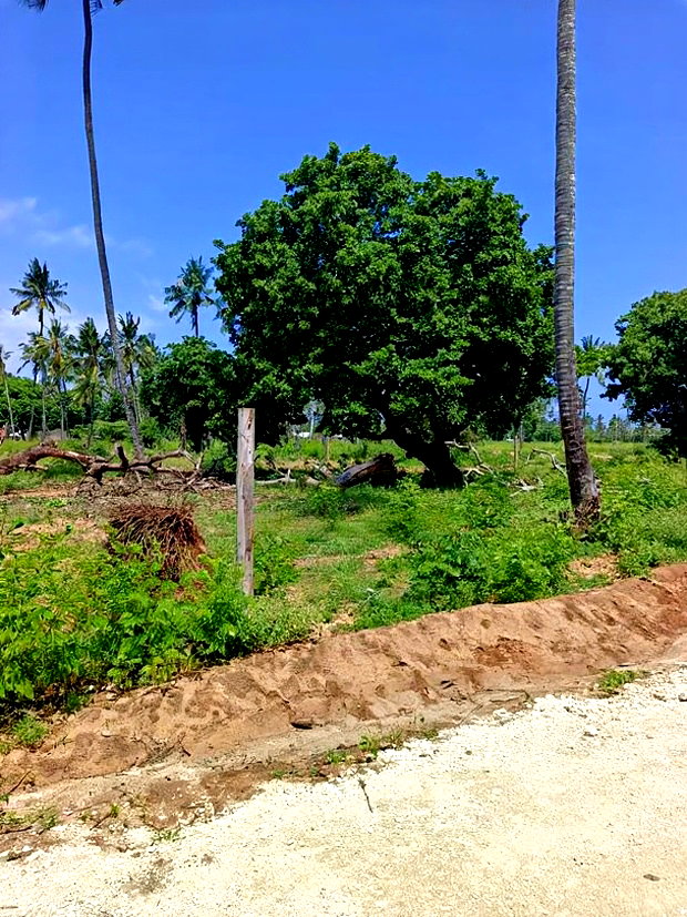 50*100ft Plots for Sale in Kilifi Tezo