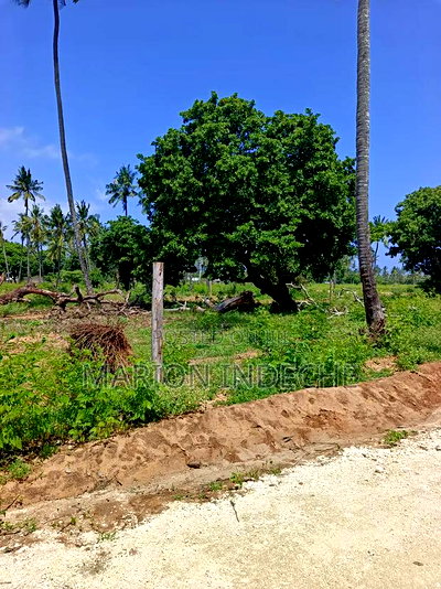 50*100ft Plots for Sale in Kilifi Tezo - Image 2