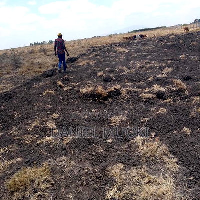 100x100 Plot on Sale Ruai Ready Title Deed - Image 4