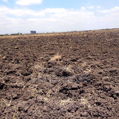 100x100 Plot on Sale Ruai Ready Title Deed - Image 7