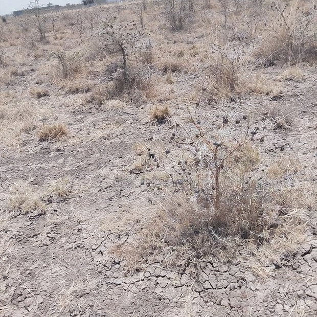 100x100 Plot on Sale Ruai Ready Title Deed