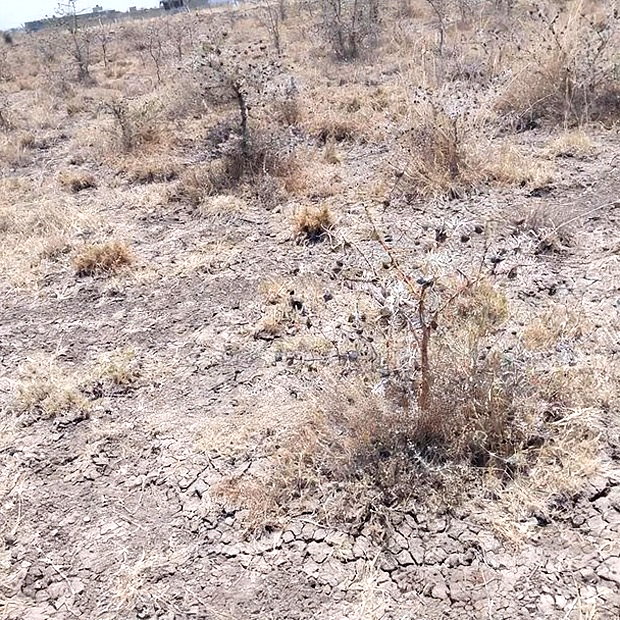 100x100 Plot on Sale Ruai Ready Title Deed