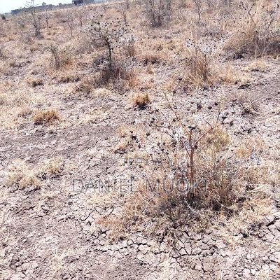 100x100 Plot on Sale Ruai Ready Title Deed - Image 2