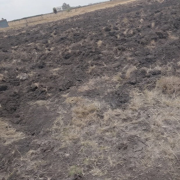 100x100 Plot on Sale Ruai Ready Title Deed
