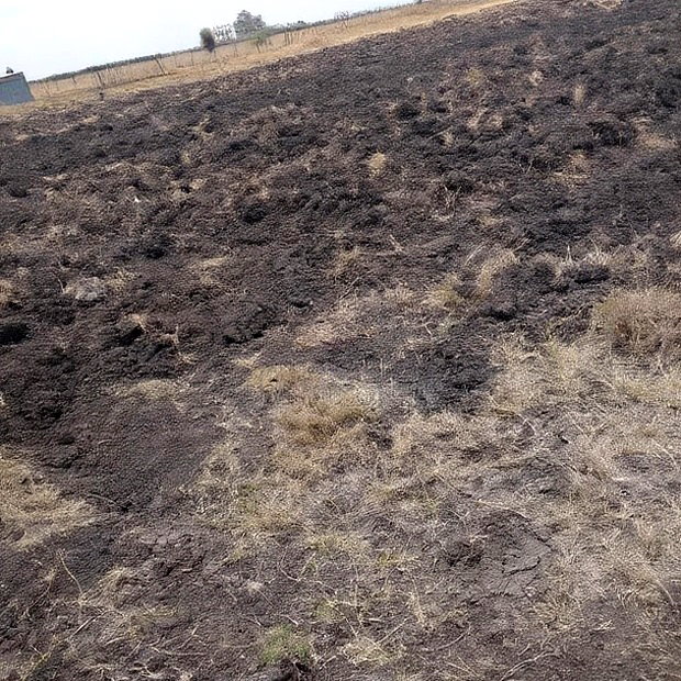 100x100 Plot on Sale Ruai Ready Title Deed