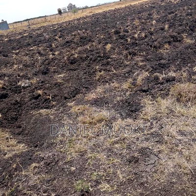 100x100 Plot on Sale Ruai Ready Title Deed - Image 5