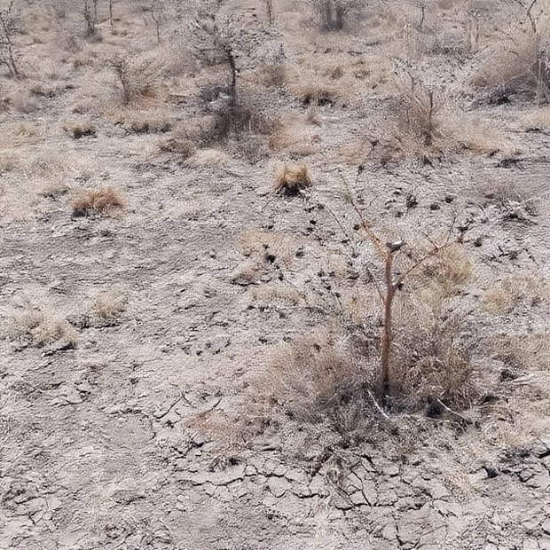 100x100 Plot on Sale Ruai Ready Title Deed