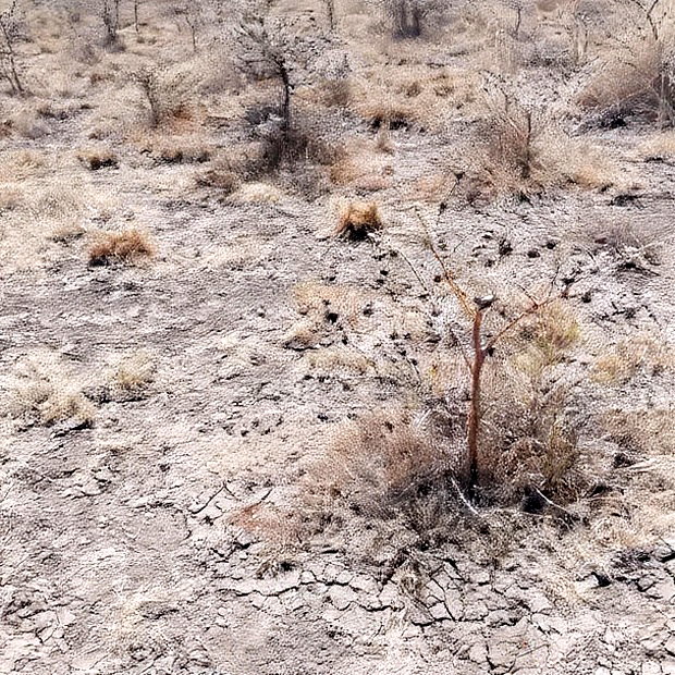 100x100 Plot on Sale Ruai Ready Title Deed
