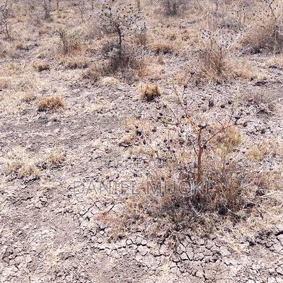 100x100 Plot on Sale Ruai Ready Title Deed - Image 1