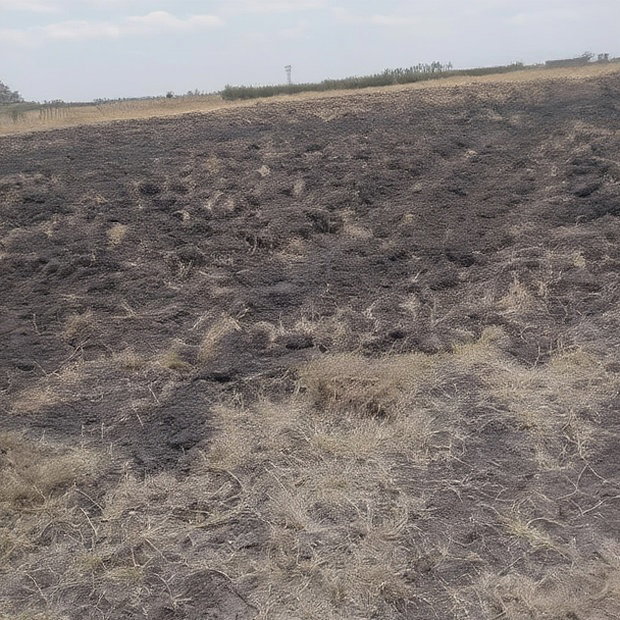 100x100 Plot on Sale Ruai Ready Title Deed