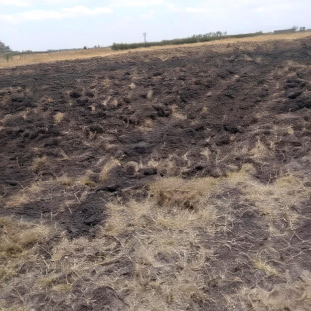 100x100 Plot on Sale Ruai Ready Title Deed