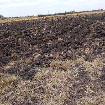 100x100 Plot on Sale Ruai Ready Title Deed - Image 3