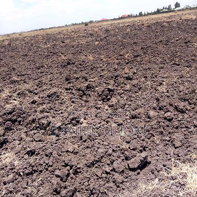 100x100 Plot on Sale Ruai Ready Title Deed - Image 9